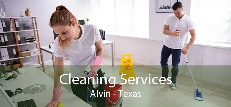 Cleaning Services Alvin - Texas