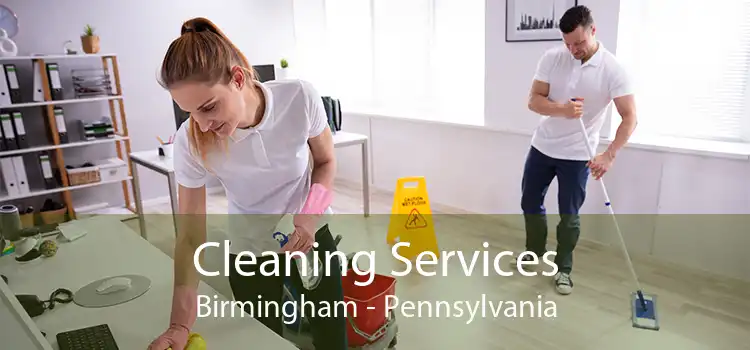 Cleaning Services Birmingham - Pennsylvania
