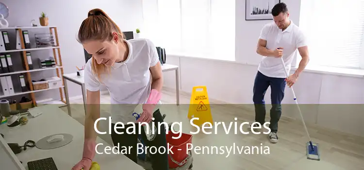 Cleaning Services Cedar Brook - Pennsylvania