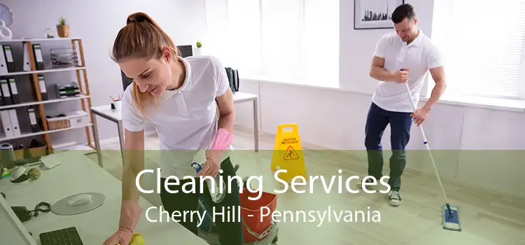 Cleaning Services Cherry Hill - Pennsylvania