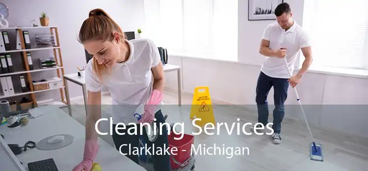 Cleaning Services Clarklake - Michigan