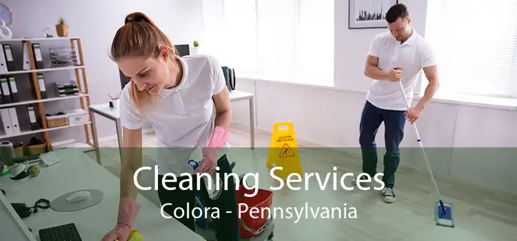 Cleaning Services Colora - Pennsylvania
