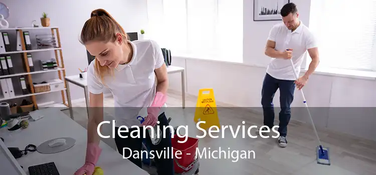 Cleaning Services Dansville - Michigan