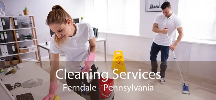 Cleaning Services Ferndale - Pennsylvania