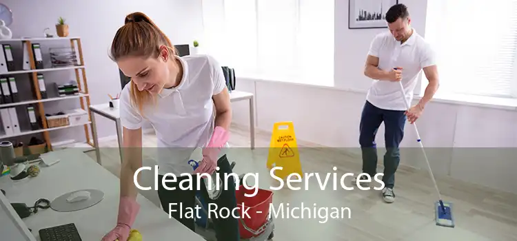 Cleaning Services Flat Rock - Michigan