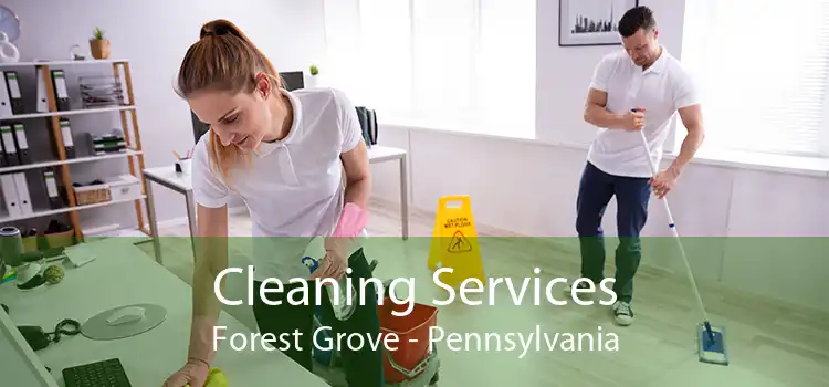 Cleaning Services Forest Grove - Pennsylvania