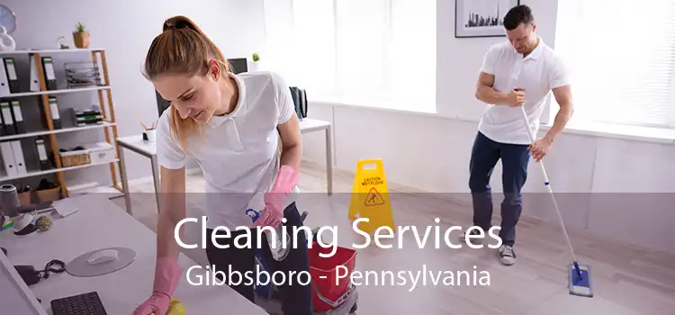 Cleaning Services Gibbsboro - Pennsylvania