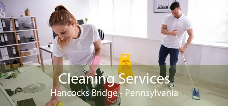 Cleaning Services Hancocks Bridge - Pennsylvania