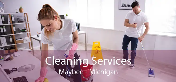 Cleaning Services Maybee - Michigan