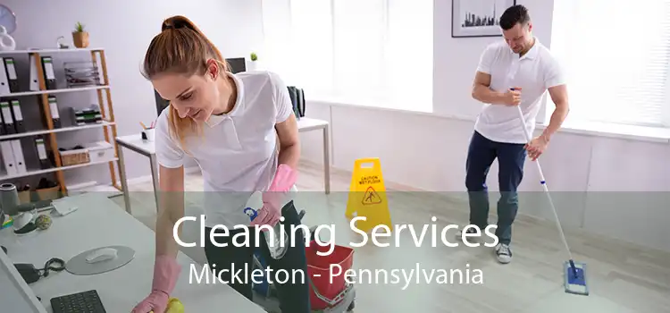 Cleaning Services Mickleton - Pennsylvania