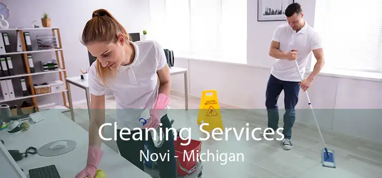 Cleaning Services Novi - Michigan