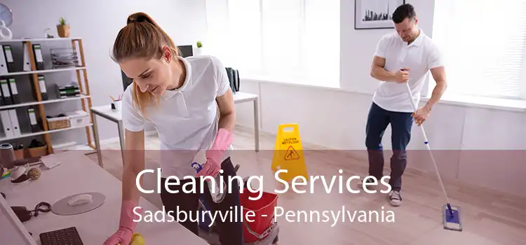 Cleaning Services Sadsburyville - Pennsylvania