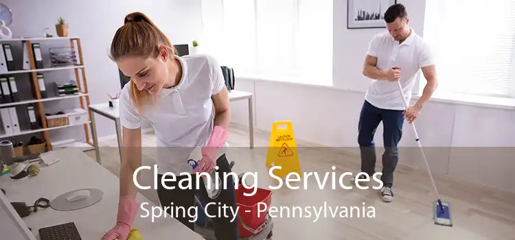 Cleaning Services Spring City - Pennsylvania