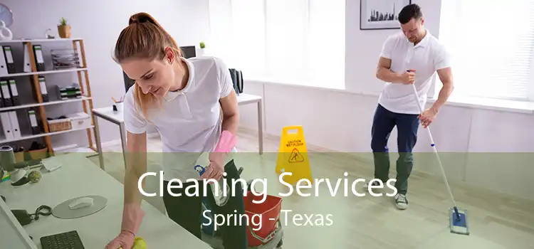 Cleaning Services Spring - Texas