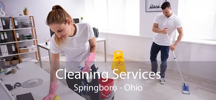 Cleaning Services Springboro - Ohio
