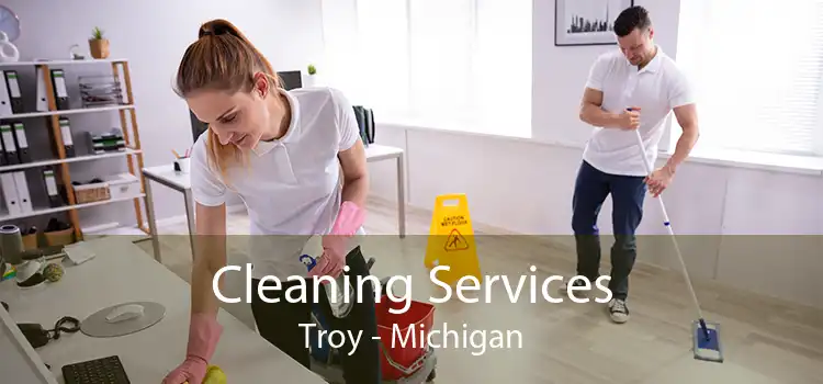 Cleaning Services Troy - Michigan