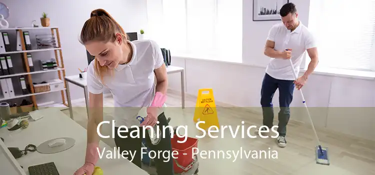 Cleaning Services Valley Forge - Pennsylvania