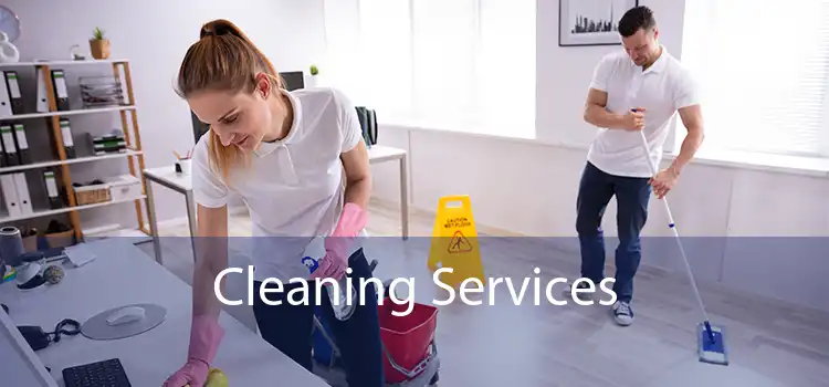 Cleaning Services 