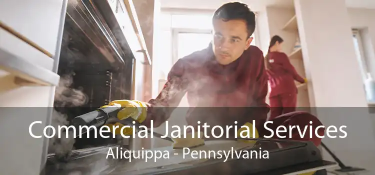 Commercial Janitorial Services Aliquippa - Pennsylvania