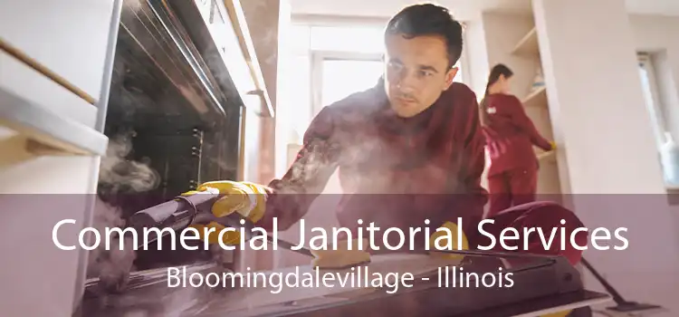 Commercial Janitorial Services Bloomingdalevillage - Illinois