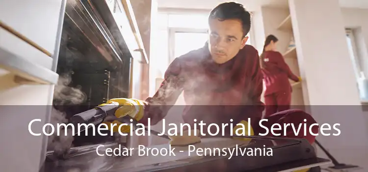 Commercial Janitorial Services Cedar Brook - Pennsylvania