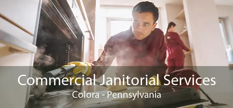 Commercial Janitorial Services Colora - Pennsylvania