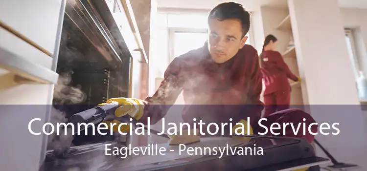 Commercial Janitorial Services Eagleville - Pennsylvania
