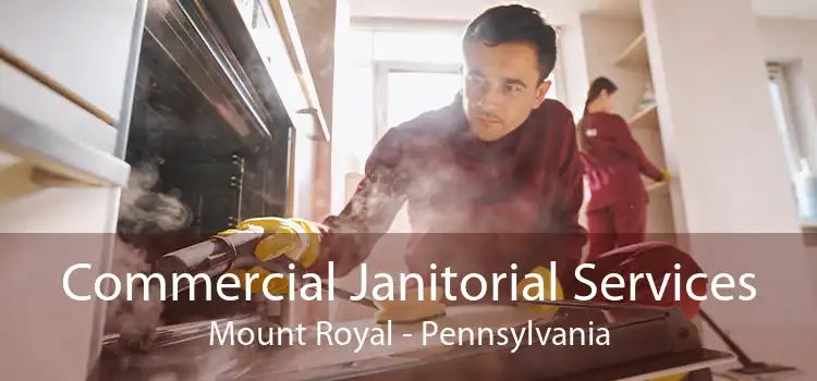 Commercial Janitorial Services Mount Royal - Pennsylvania