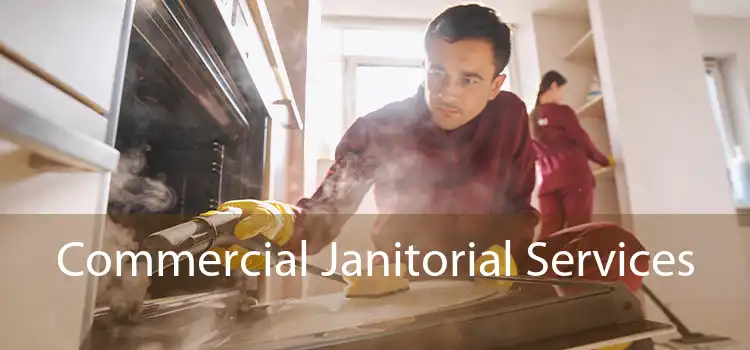 Commercial Janitorial Services 