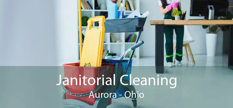 Janitorial Cleaning Aurora - Ohio