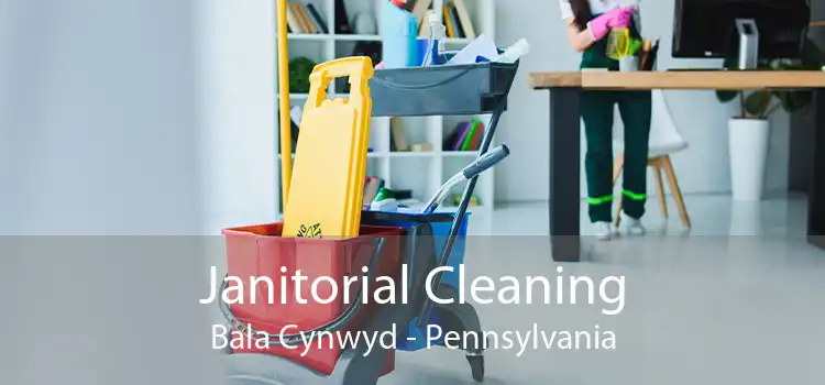 Janitorial Cleaning Bala Cynwyd - Pennsylvania