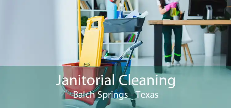 Janitorial Cleaning Balch Springs - Texas