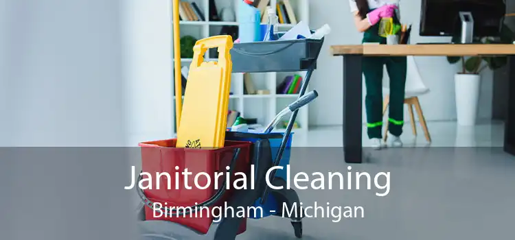 Janitorial Cleaning Birmingham - Michigan