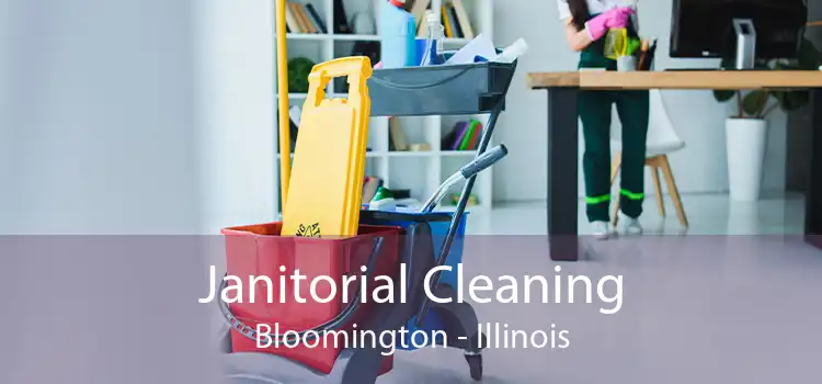 Janitorial Cleaning Bloomington - Illinois