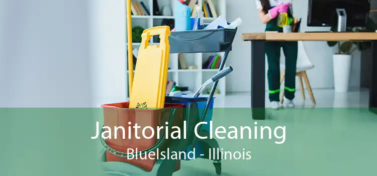 Janitorial Cleaning BlueIsland - Illinois