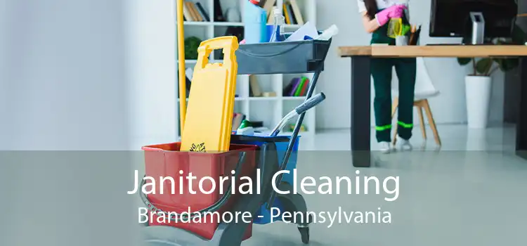 Janitorial Cleaning Brandamore - Pennsylvania