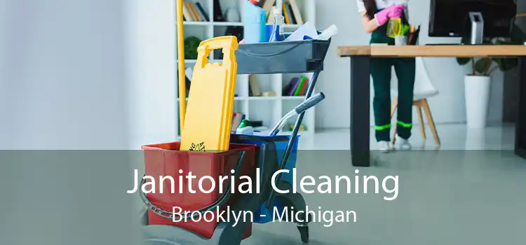 Janitorial Cleaning Brooklyn - Michigan