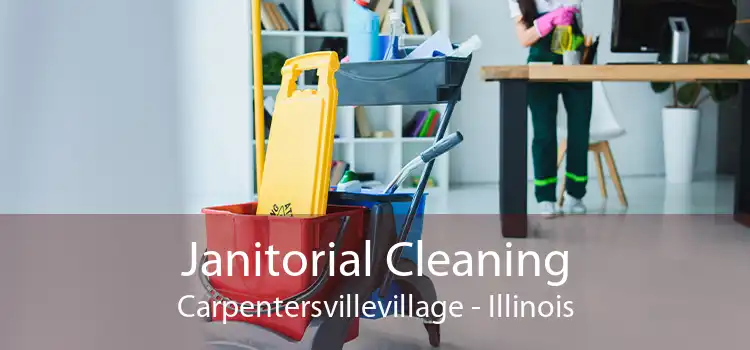 Janitorial Cleaning Carpentersvillevillage - Illinois