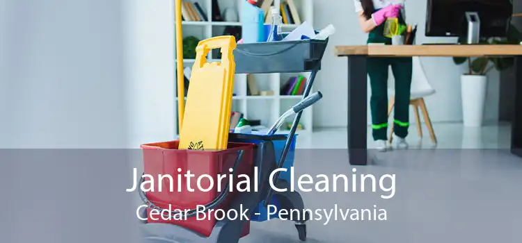 Janitorial Cleaning Cedar Brook - Pennsylvania