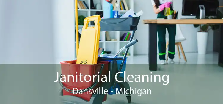 Janitorial Cleaning Dansville - Michigan