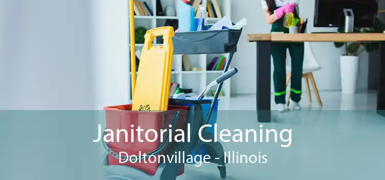 Janitorial Cleaning Doltonvillage - Illinois