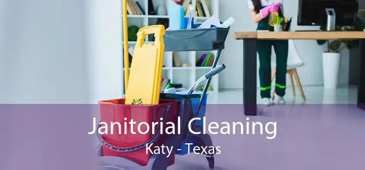 Janitorial Cleaning Katy - Texas