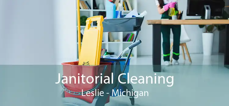 Janitorial Cleaning Leslie - Michigan