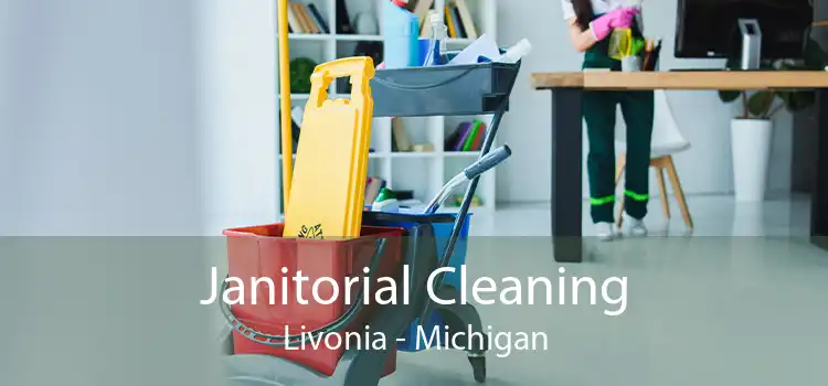 Janitorial Cleaning Livonia - Michigan