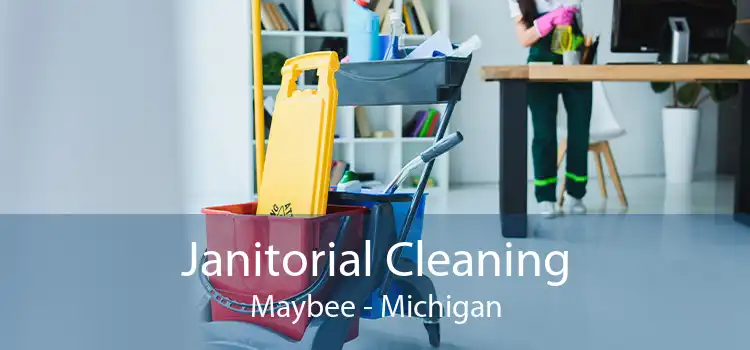 Janitorial Cleaning Maybee - Michigan