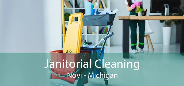 Janitorial Cleaning Novi - Michigan