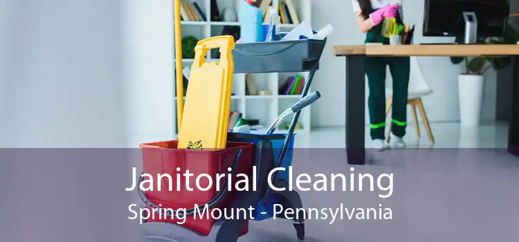 Janitorial Cleaning Spring Mount - Pennsylvania