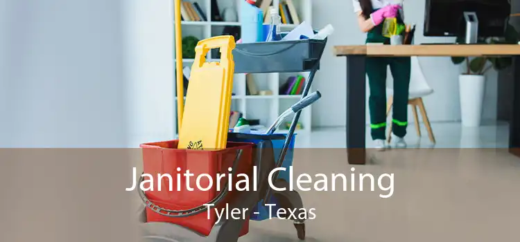 Janitorial Cleaning Tyler - Texas