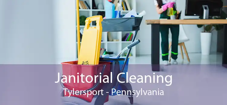 Janitorial Cleaning Tylersport - Pennsylvania