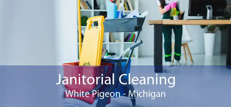 Janitorial Cleaning White Pigeon - Michigan